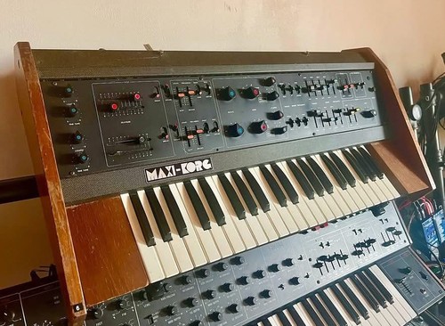Univox maxikorg korg 800dv - maxikorg,